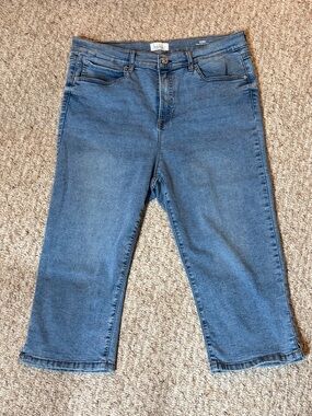 Nicole Miller SoHo High Rise Capri Pants, size 16